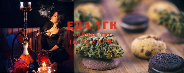 индика Касимов