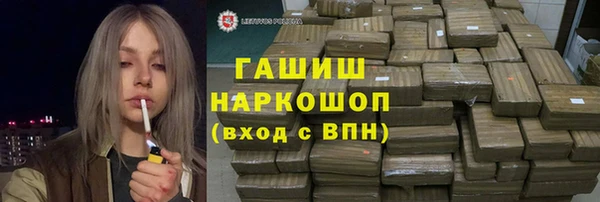 индика Касимов