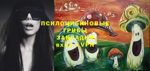 амф Чекалин