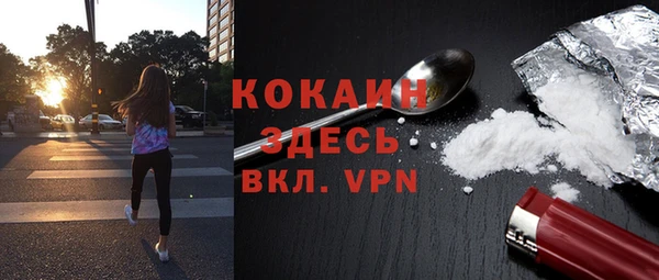 амф Чекалин